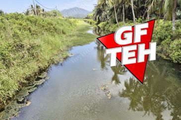 Balik Pulau / Teluk Bahang