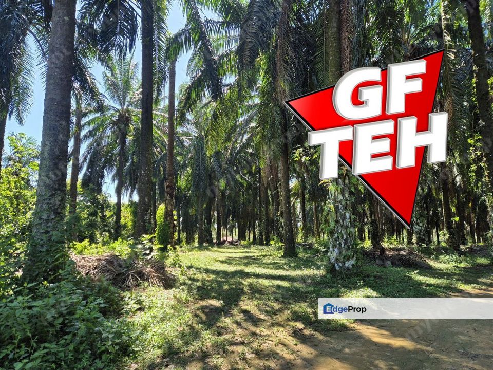 20.292 acres Agriculture Land | Zoning Residential | Sungai Kob | Karangan | Kulim b, Kedah, Kulim