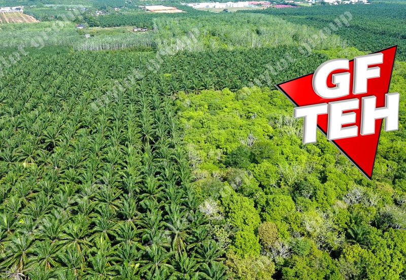 Jalan Pendang-Tanah Merah