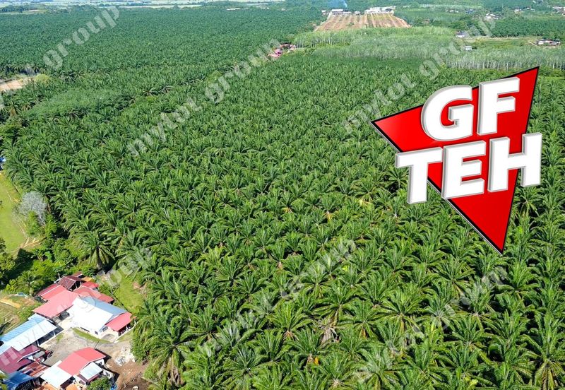 Jalan Pendang-Tanah Merah