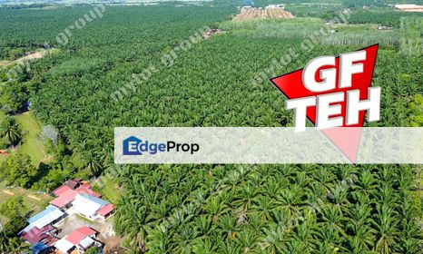 15.64 acres Agricultural Land | Pendang | Ayer Puteh | Kedah Rm2.50psf, Kedah, Pendang