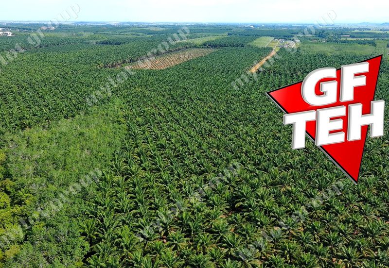 Jalan Pendang-Tanah Merah