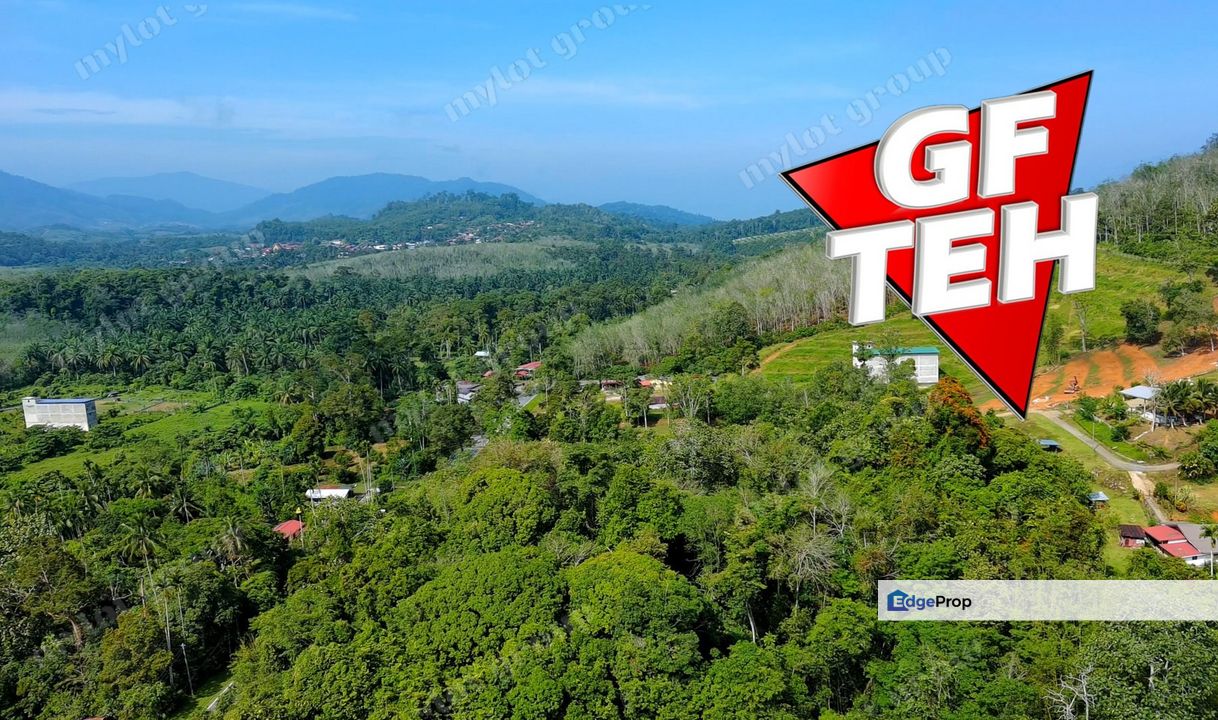  17.19 acres Agricultural Land | Pengkalan Hulu | Perak RM 1.49 / sqft, Perak, Hulu Perak