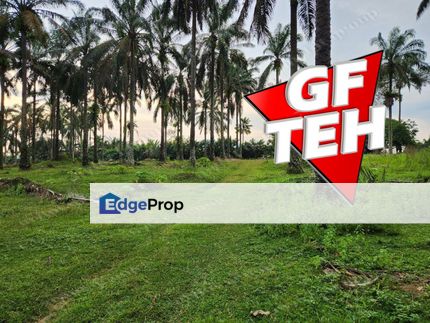 9.54 acres Agricultural land | Sungai Batu | Bandar Baharu | Kedah Rm4 psf b, Kedah, Serdang