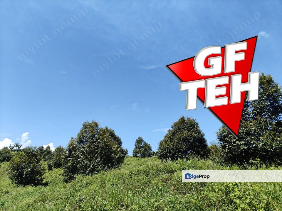 9.9 Acre Durian Land | Lenggong | Perak Rm4.25psf k, Perak, Hulu Perak