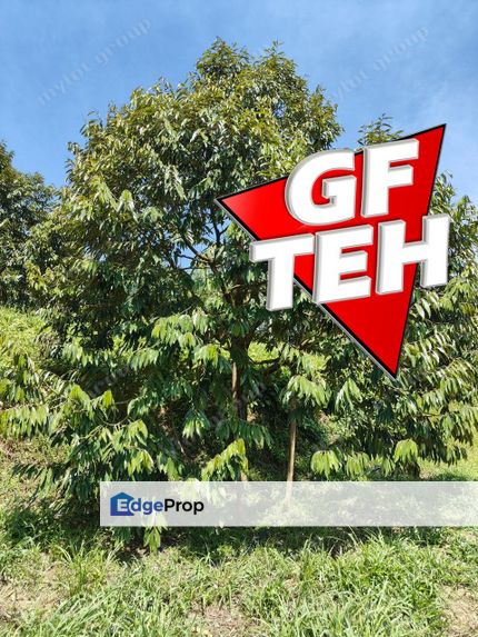 9.9 Acres Durian Land | Lenggong | Perak Rm4.25psf k, Perak, Hulu Perak