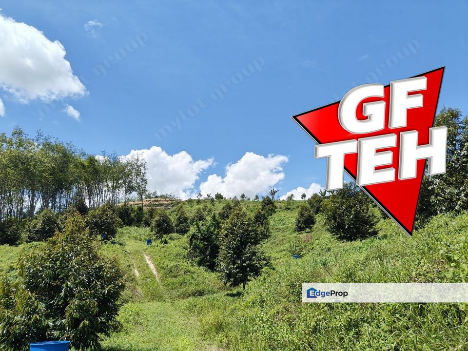 9.9 Acre Durian Land | Lenggong | Perak Rm4.25psf k, Perak, Hulu Perak