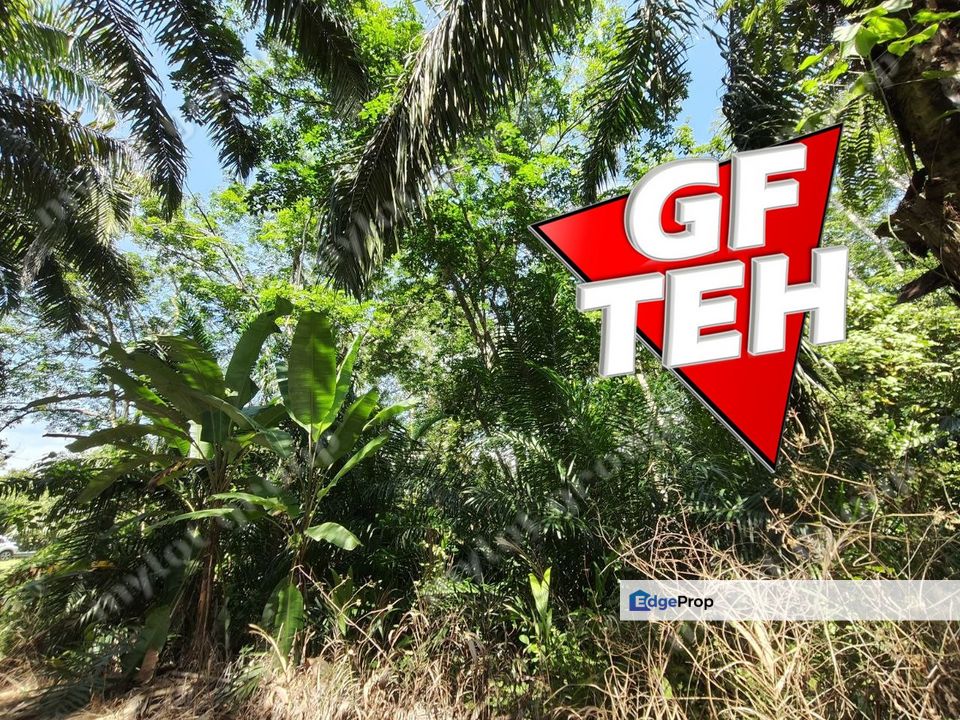 6.85 acre Agricultural Land | Lenggong | Perak | Rm3.21psf k, Perak, Hulu Perak