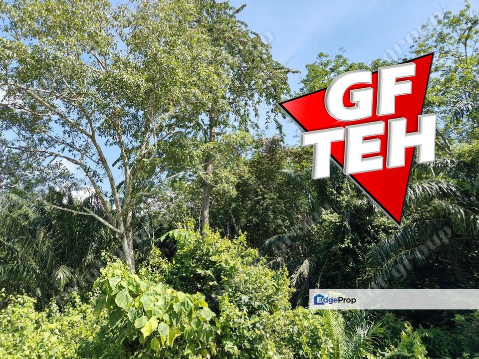 6.85 acre Agricultural Land | Lenggong | Perak | Rm3.21psf k, Perak, Hulu Perak