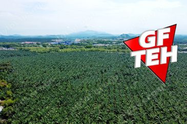 Gurun Industrial Area