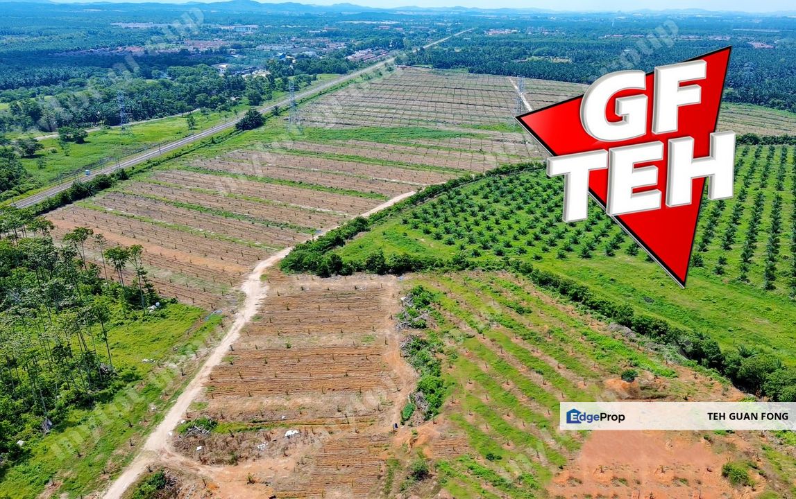 98.95 acres Residential Land Agricultural Land | Bedong | Kuala Muda | Kedah | RM8 psf, Kedah, Kuala Muda