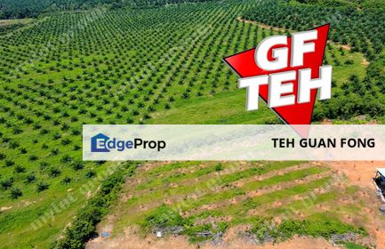 98.95 acres Residential Land Agricultural Land | Bedong | Kuala Muda | Kedah | RM8 psf, Kedah, Kuala Muda