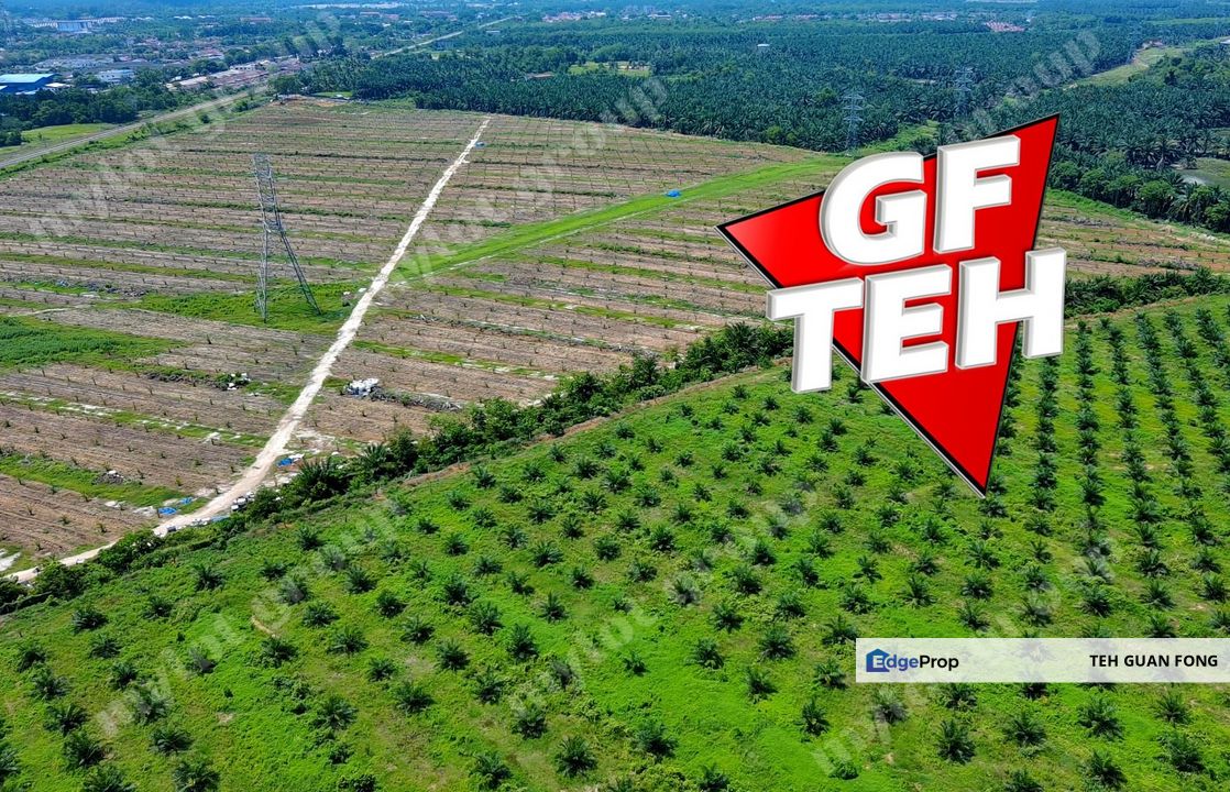 98.95 acre Residential Land Agricultural Land | Bedong | Kuala Muda | Kedah | RM8 psf, Kedah, Kuala Muda