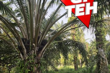 Taman Nibong Tebal Jaya