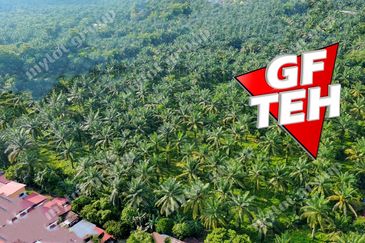 Taman Nibong Tebal Jaya