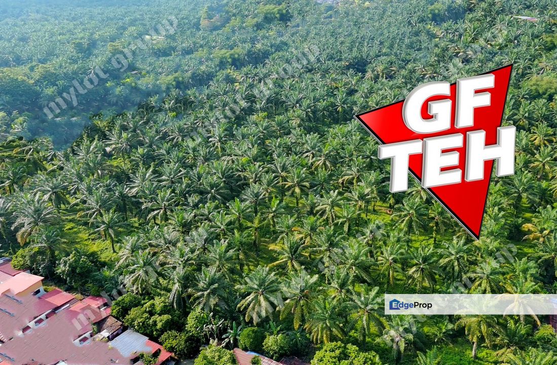 11.38 acre First Grade | Agricultural Land SPS | Nibong Tebal | Penang Rm26psf, Penang, Nibong Tebal