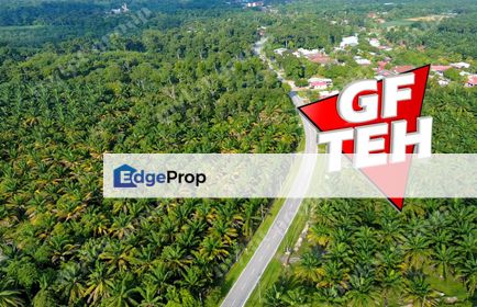 11.375 acres First Grade | Agricultural Land SPS | Nibong Tebal | Penang Rm26psf, Penang, Nibong Tebal