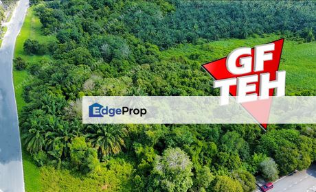 16.56 acres First Grade Industrial Land | Permatang Tinggi | Simpang Ampat | Penang RM130psf, Penang, Bukit Mertajam