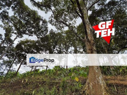 4.7 Acres | Old tree durian farm | Lenggong | Perak  Rm5.76psf b k, Perak, Lenggong
