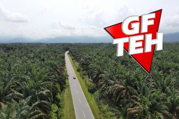 9.87 acres Agricultural Land | Beside Mainroad | Selama | Perak | For Sale Rm3.9psf b