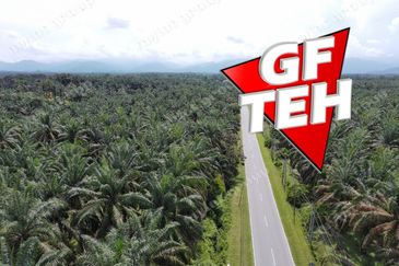 9.87 acres Agricultural Land | Beside Mainroad | Selama | Perak | For Sale Rm3.9psf b