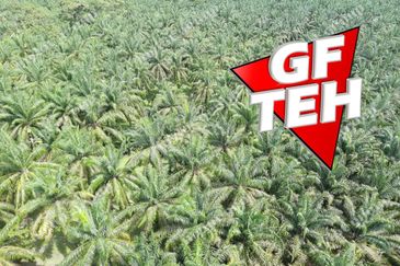 9.87 acres Agricultural Land | Beside Mainroad | Selama | Perak | For Sale Rm3.9psf b