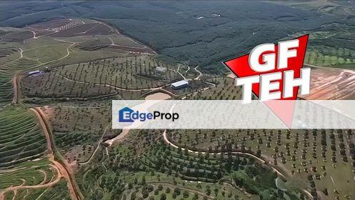 105.56 acres | Agricultural Land | Durian Farm | Sungkai | Perak Rm8psf, Perak, Sungkai
