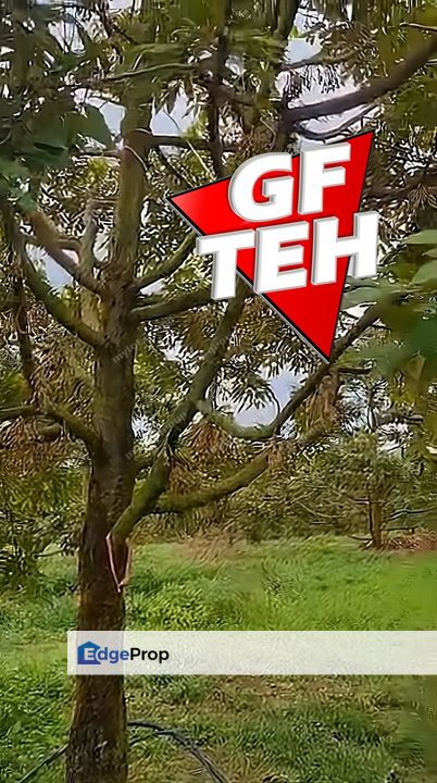 105.56 acres | Agricultural Land | Durian Farm | Sungkai | Perak Rm8psf, Perak, Sungkai
