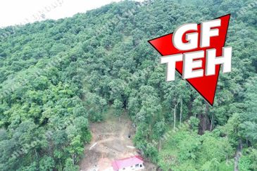 6.35acres Agricultural Land | Durian Farm | Sungai Lembu | BM | Penang Rm9psf b