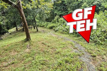 6.35acres Agricultural Land | Durian Farm | Sungai Lembu | BM | Penang Rm9psf b
