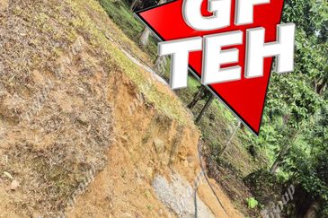 6.35acres Agricultural Land | Durian Farm | Sungai Lembu | BM | Penang Rm9psf b