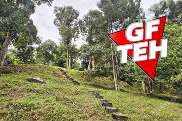 6.35acres Agricultural Land | Durian Farm | Sungai Lembu | BM | Penang Rm9psf b