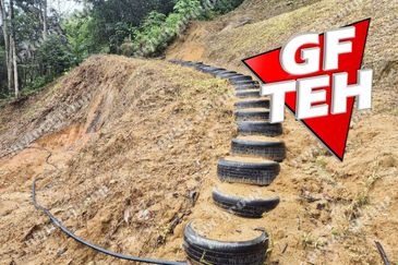 6.35acres Agricultural Land | Durian Farm | Sungai Lembu | BM | Penang Rm9psf b