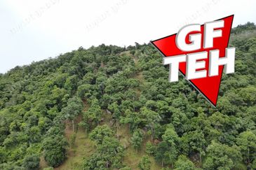 6.35acres Agricultural Land | Durian Farm | Sungai Lembu | BM | Penang Rm9psf b