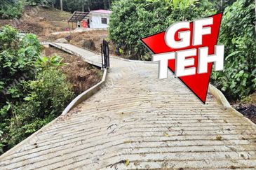 6.35acres Agricultural Land | Durian Farm | Sungai Lembu | BM | Penang Rm9psf b