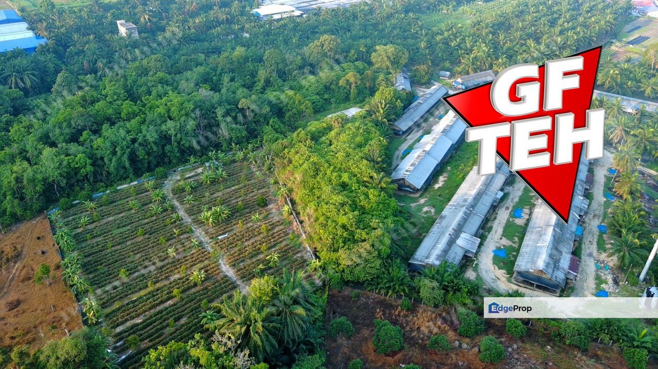 2.09 acre Agricultural Land | Sungai Jawi | SPS | RM30 psf , Penang, Sungai Jawi