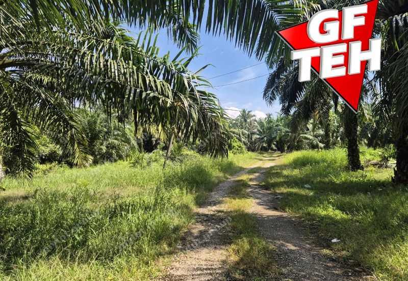 68 acres Industrial Land & Residential Land | Bagan Serai | Alor Pongsu | Perak | RM8.10 psf