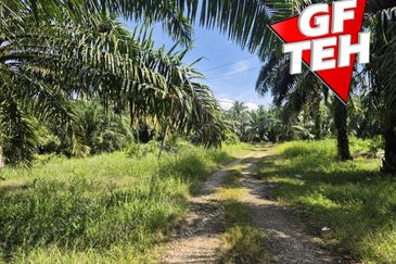 68 acres Industrial Land & Residential Land | Bagan Serai | Alor Pongsu | Perak | RM8.10 psf
