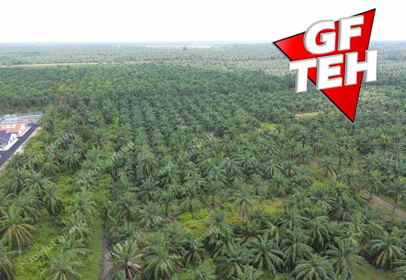 68 acres Industrial Land & Residential Land | Bagan Serai | Alor Pongsu | Perak | RM8.10 psf