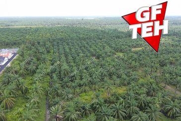 68 acres Industrial Land & Residential Land | Bagan Serai | Alor Pongsu | Perak | RM8.10 psf