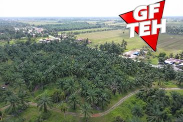 68 acres Industrial Land & Residential Land | Bagan Serai | Alor Pongsu | Perak | RM8.10 psf