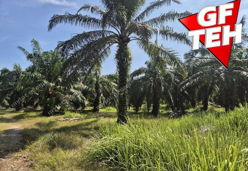 68 acres Industrial Land & Residential Land | Bagan Serai | Alor Pongsu | Perak | RM8.10 psf