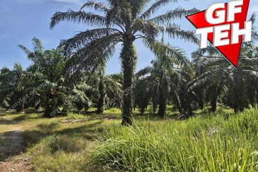 68 acres Industrial Land & Residential Land | Bagan Serai | Alor Pongsu | Perak | RM8.10 psf