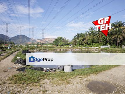 5.74 acres Fish Pond & Palm oil Plantation | Valdor SPS | Simpang Ampat | Penang Rm6psf, Penang, Valdor