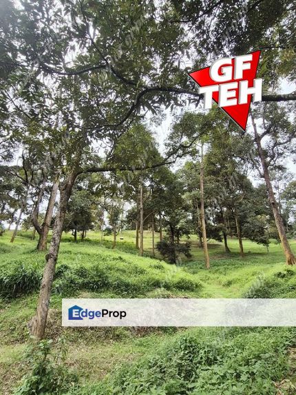 9.18 Acres Old Durian Garden | Taiping | Perak Rm69.19psf b, Perak, Taiping