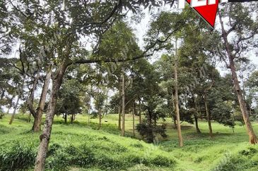 Agriculture Land @ Taiping