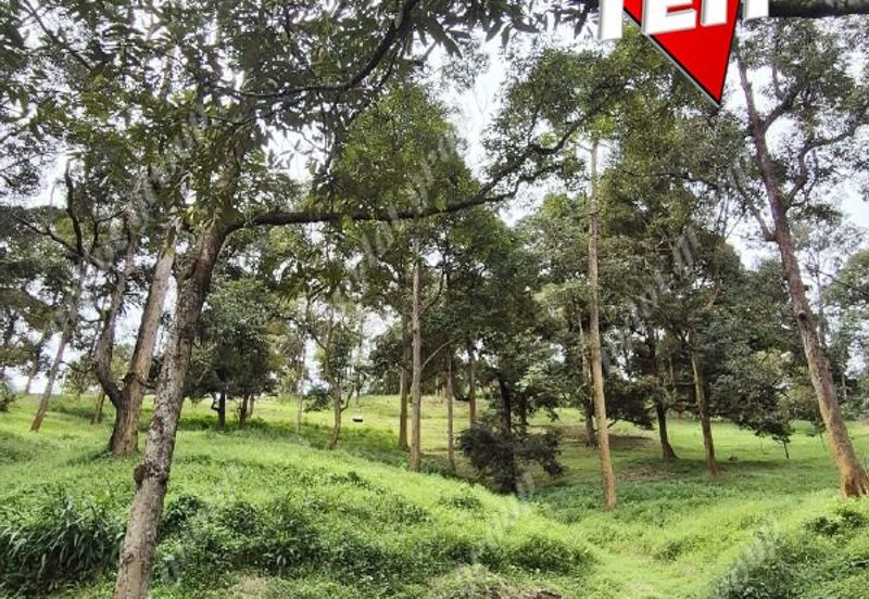 Agriculture Land @ Taiping