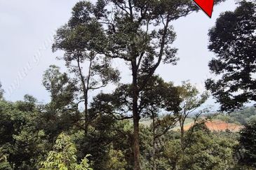 Agriculture Land @ Taiping