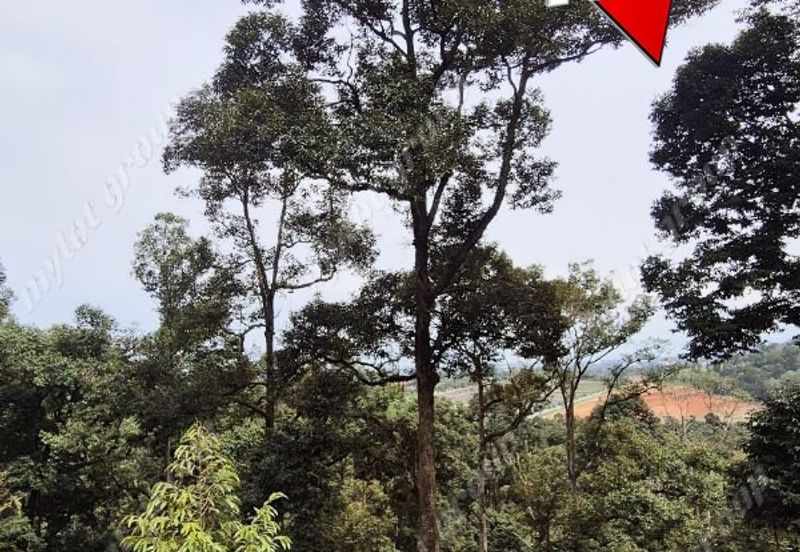 Agriculture Land @ Taiping