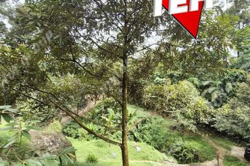 Agriculture Land @ Taiping